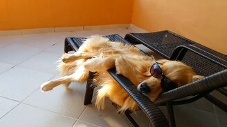 Сегодня - день отдыха! - смотреть видео (1:11)