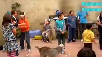 Смешные мгновенья с озвучкой - смотреть видео (12:24)