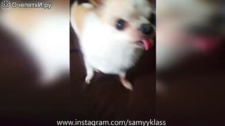 Смешилки, казусы и провалы в сборке - смотреть видео (7:57)