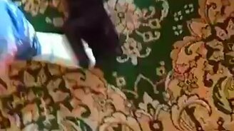 Когда кот любит твою ногу - смотреть видео (0:19)