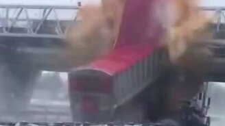 Как зрелищно рассыпать семена - смотреть видео (0:26)