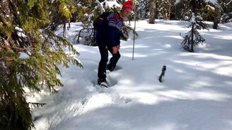 Глухарь в снегу - смотреть видео (0:31)