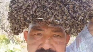 Когда ты ладишь с пчёлами - смотреть видео (0:29)