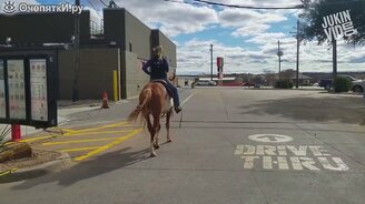 Забавные и красивые лошадки - смотреть видео (3:06)