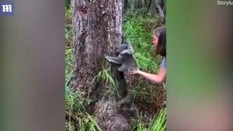 Не мешай, я жду друга! - смотреть видео (1:43)