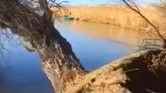 Река поглощает дерево - смотреть видео (0:51)