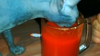 Кошка пьёт томатный сок - смотреть видео (0:17)