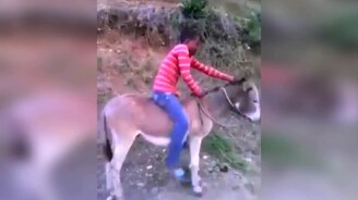 Прикольчики с животными - смотреть видео (5:52)