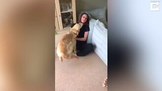 Собачка, ку-ку! - смотреть видео (1:10)