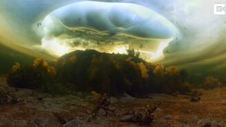 Чудеса подводного мира России - смотреть видео (2:34)