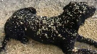 Когда ты рядом с другом - смотреть видео (0:23)