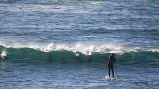 Дельфин сбил с ног сёрфера - смотреть видео (0:27)