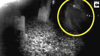 Привидение в объективе - смотреть видео (0:38)