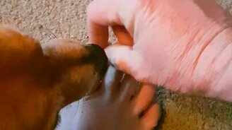 Не трогай свои ногти! - смотреть видео (2:18)