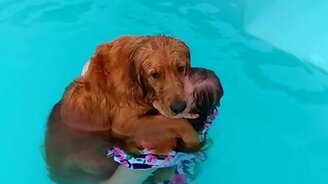 Собака любит бассейн - смотреть видео (0:58)