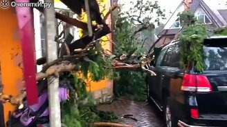 Удачнейшее падение деревьев - смотреть видео (0:32)