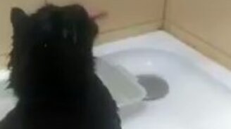 Чистота - залог здоровья! - смотреть видео (0:38)