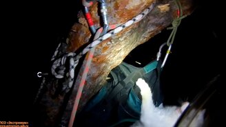 Спасение кошки с сосны - смотреть видео (2:39)