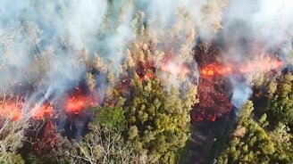 Лава затекла в лес - смотреть видео (2:20)