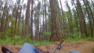 Врезался на велике в дерево - смотреть видео (3:14)