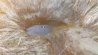 Ручей никуда из ниоткуда - смотреть видео (0:49)