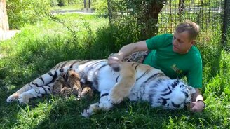 Как выглядит верх доверия - смотреть видео (1:14)