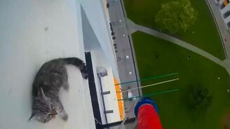 Спасение котёнка с крыши небоскрёба - смотреть видео (0:58)