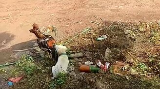 Собака разнимает петухов - смотреть видео (1:38)