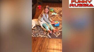 Крайне смешные животные - смотреть видео (4:17)