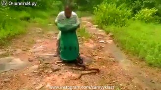 Много смешного видео в подборке - смотреть видео (5:07)