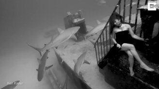 Фотомодель среди акул - смотреть видео (3:37)