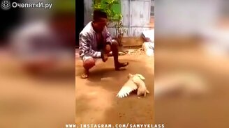 Много новых запомнившихся приколов - смотреть видео (4:51)