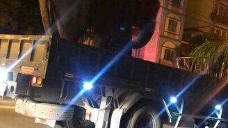 Транспортировка слона - смотреть видео (0:10)