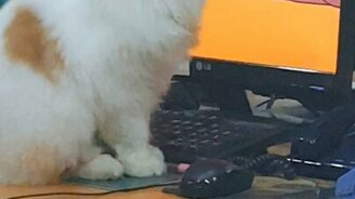 Мишка, ты куда уполз? - смотреть видео (0:24)