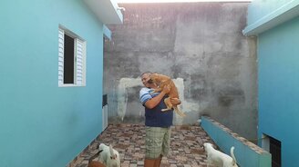 Как хозяин жалует своих собак - смотреть видео (0:47)