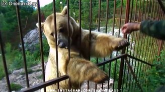 Сборник весёлого и чудного - смотреть видео (5:28)