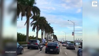 Безумная езда на заднем колесе - смотреть видео (0:53)