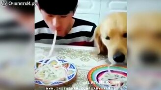 Весёлое и чудное в сборнике - смотреть видео (5:56)