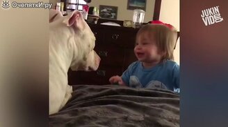 Самое смешное и яркое за неделю - смотреть видео (3:13)