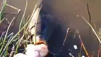 Покормил рыбку - смотреть видео (1:39)