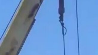 Цепкий и бесстрашный енот - смотреть видео (1:32)