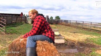 Захотел оседлать борова - смотреть видео (0:44)