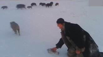 Как животные рыбу воруют - смотреть видео (11:41)