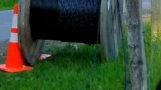 Корова жуёт провода - смотреть видео (0:20)