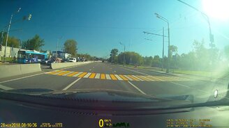 Доказательства ума собак - смотреть видео (0:34)