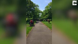 Мужчина завлекает тёлочек - смотреть видео (1:01)