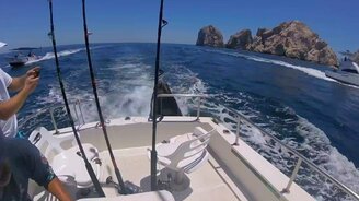 Покормили морских львов с катера - смотреть видео (1:04)