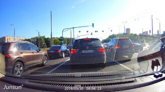 Машины, остановленные утками - смотреть видео (3:00)