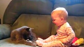 Вот насмешил - смотреть видео (1:46)