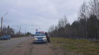 Медведь и машина ДПС - смотреть видео (0:33)